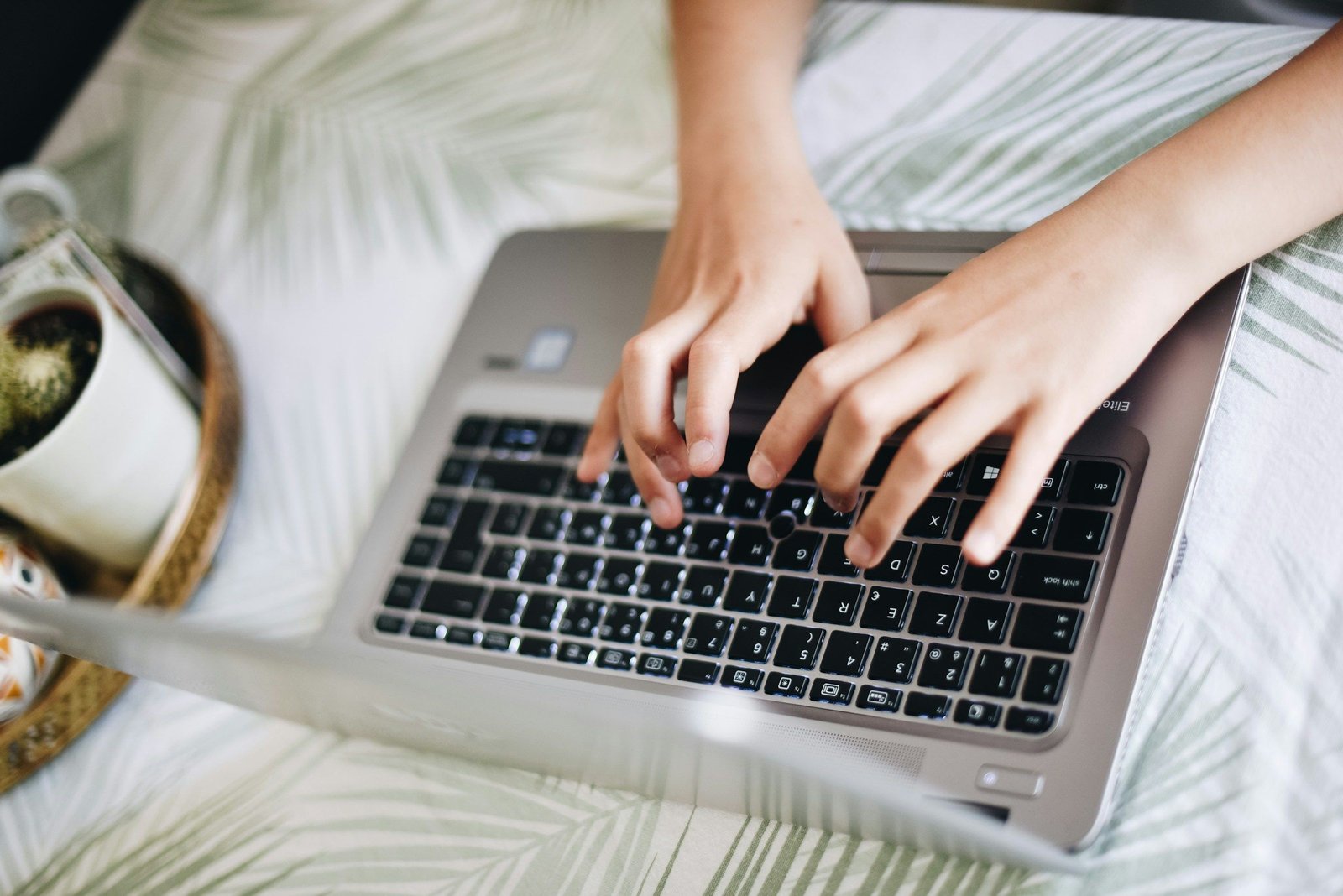 What CMS is Used by a Website